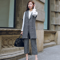 LUORUIR休闲时尚清纯潮流优雅纽扣2017年秋季长袖套装/套裙2369-6531-P120