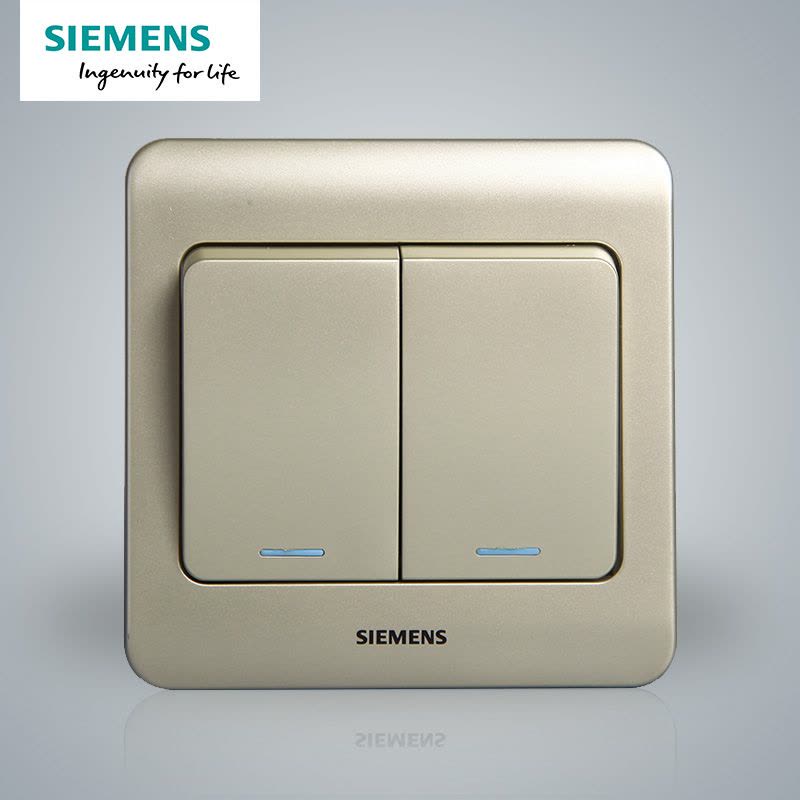 西门子(SIEMENS)开关插座 远景金棕系列二开单控带荧光5TA01151CC133图片