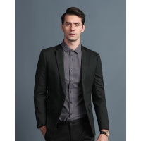 阿仕顿男士西服A14304060