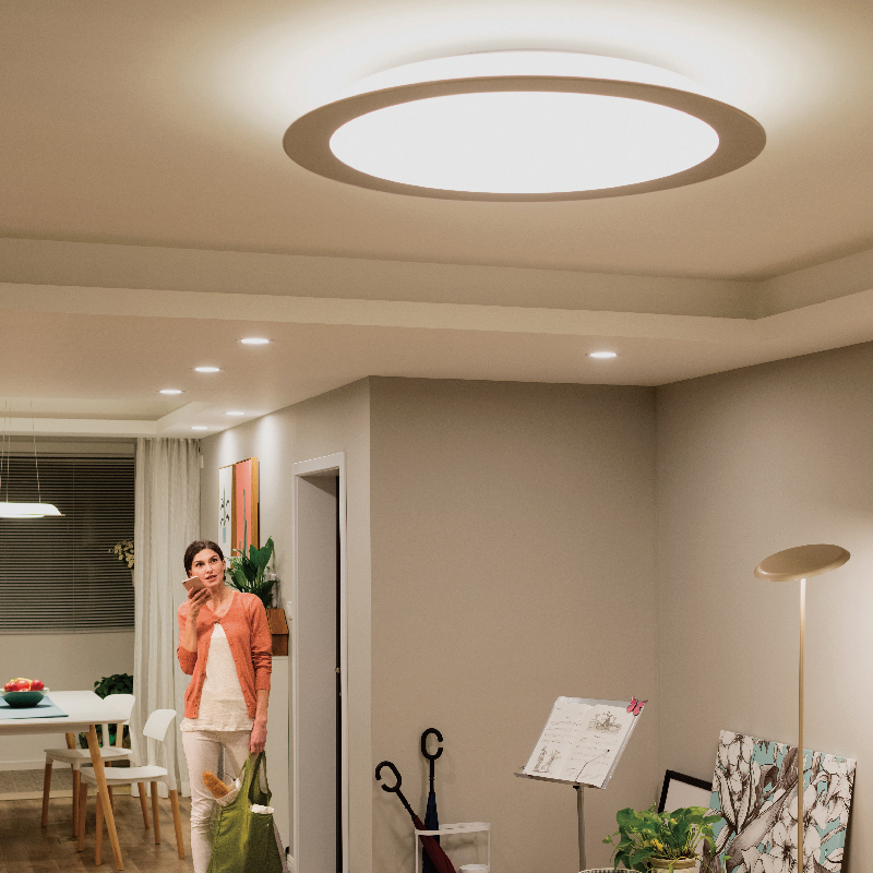 飞利浦(PHILIPS)Hue 睿晨led圆形简约现代创意智能遥控客厅吸顶灯金属铝原色睿晨吸顶灯