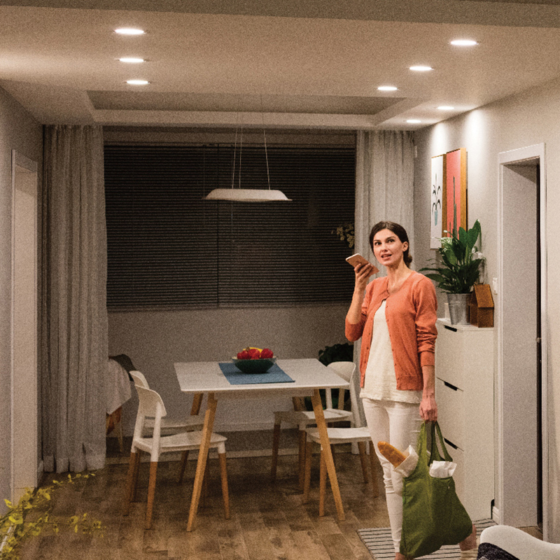 飞利浦(PHILIPS)HUE led筒灯9W客厅简约现代铝制手机APP无线遥控调光变色远程智控 HUE睿轩
