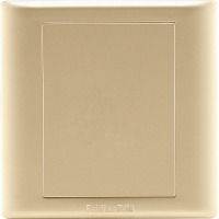 飞雕(FEIDIAO)开关插座面板 空白面板 插座盖板空面板白盖板 盖线盒 86型A3香槟金