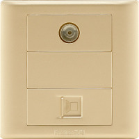 飞雕(FEIDIAO)开关插座面板 电视电脑插座 网线有线闭路电视网络面板插口 86型A3香槟金