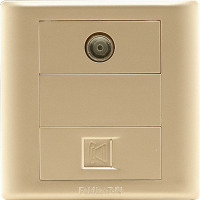 飞雕(FEIDIAO)开关插座面板 电视电话插座 二位墙壁电视电话插座面板 86型A3香槟金