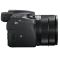 索尼(SONY) 黑卡™RX10 IV 超长焦数码相机 DSC-RX10M4+32G存储卡+相机包