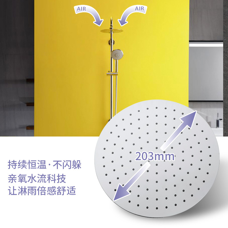 科勒齐乐恒温精准控温淋浴花洒套装挂墙式喷头套装21088