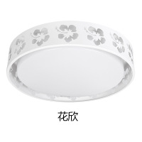 飞雕客厅灯 LED吸顶灯 卧室照明灯具灯圆形长方形客厅灯 20W渐变调光调色 花欣
