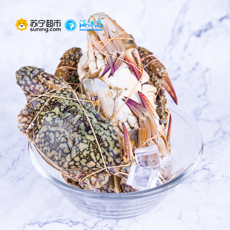 海洋岛HAIYANGDAO 斯里兰卡进口飞蟹 3只装(250g-300g/只 )冷冻梭子蟹 生鲜海鲜水产 袋装 蟹类高清大图