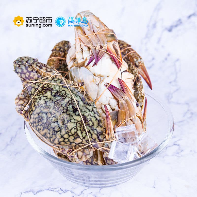 海洋岛HAIYANGDAO 斯里兰卡进口飞蟹 3只装(250g-300g/只 )冷冻梭子蟹 生鲜海鲜水产 袋装 蟹类图片