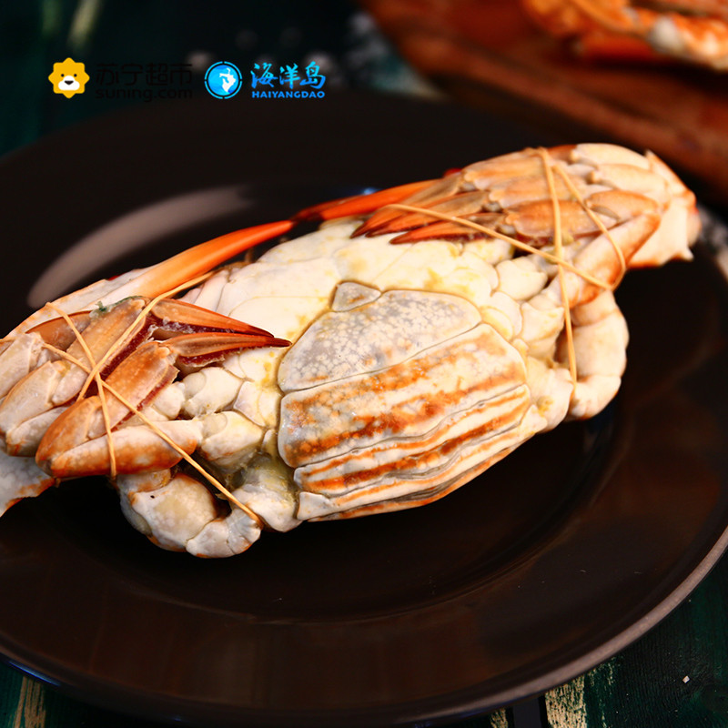 海洋岛HAIYANGDAO 斯里兰卡进口飞蟹 3只装(250g-300g/只 )冷冻梭子蟹 生鲜海鲜水产 袋装 蟹类高清大图