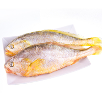 海洋岛 海鲜礼盒礼品卡B款 (帝王蟹1+大黄花鱼2+红鱼2+虾仁1+贝丁1+珍珠鲍1)海鲜大礼包 冻品海鲜组合