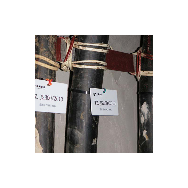 凯普丽标 进口色带蓝100米 PP-RC3WHF (支)