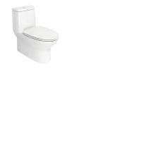 美标连体坐便器CCAS2073-0200400C0