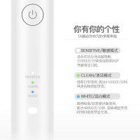 ROAMAN/罗曼T3声波电动牙刷成人充电式IPX7防水家用自动情侣智能