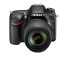尼康(Nikon) 闪迪32G高速卡 包 保护镜 三脚架 清洁套装 金刚膜 D7200+18-140(套)