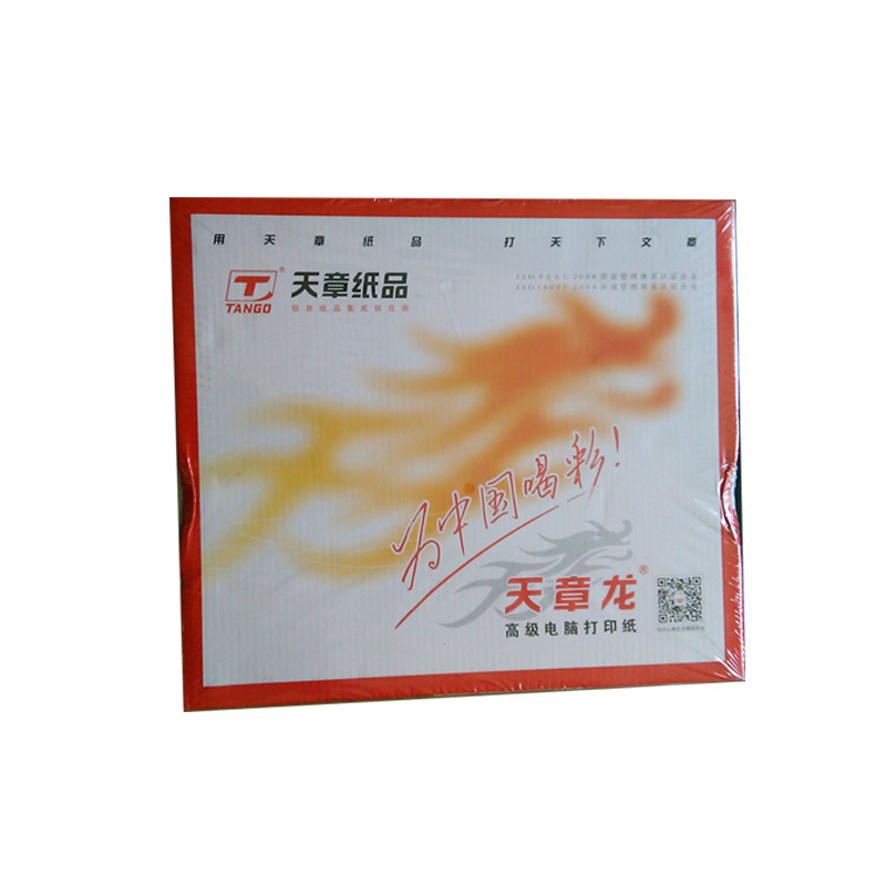 天章龙 A4双层电脑打印纸 241-2撕边1000张/箱