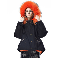 TKL036HE时尚兔毛内胆貉子毛领派克服