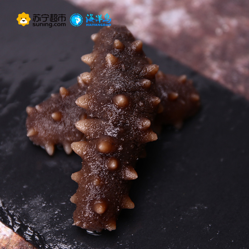 海洋岛黄海之宝大连野生即食海参礼盒400g 冷冻辽刺参 5-8年 顺丰