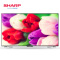 夏普彩电(SHARP)LCD-80X818A单机 80英寸 4K超超清电视机(单机不售卖,套餐更优惠)