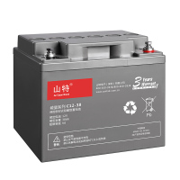 山特UPS电源 C12-38 12V 38AH 灰色