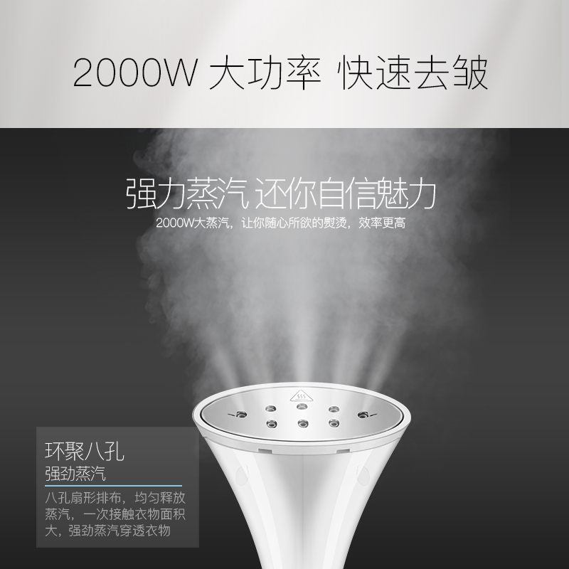 志高（CHIGO）蒸汽挂烫机ZD908 十档2000W微电脑控制家用手持蒸汽电熨斗熨烫机香槟金
