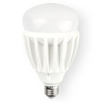 乐采优品_佛山照明_灯泡_E27_5cm 25W 220V 白炽灯泡 螺口 磨砂