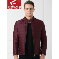 红豆相思鸟男装羽绒服常规短款深蓝色深红色立领拉链