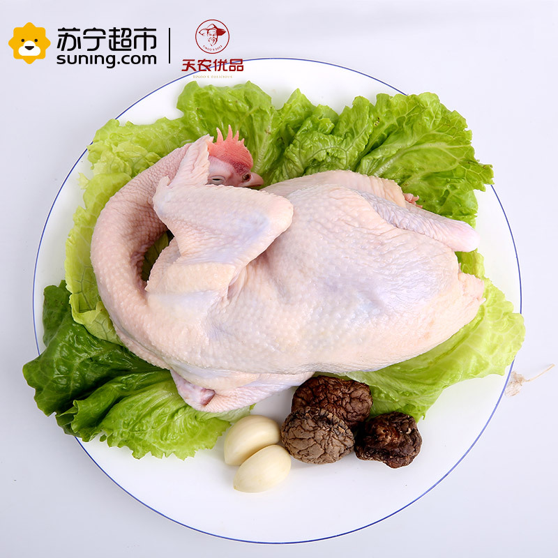 天农优品(TINOO S DELICIOUS) 清远 800优品清远鸡 750g/只 农家散养土鸡新鲜