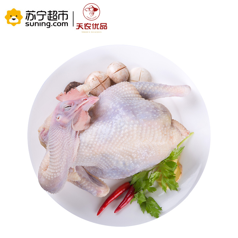 天农优品(TINOO S DELICIOUS) 清远老母鸡 900g/只 新鲜农家散养清远鸡老母鸡土鸡