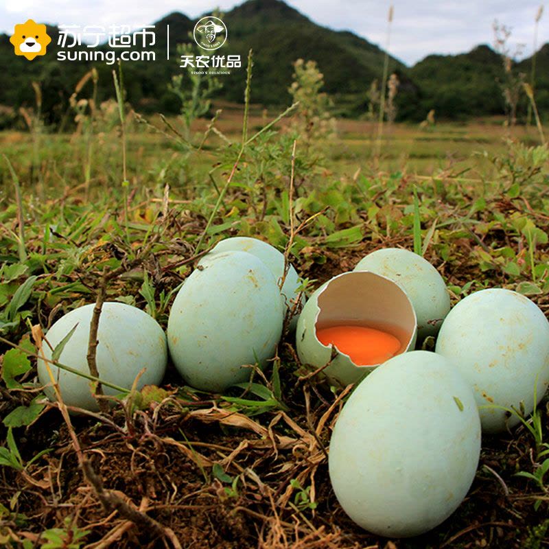 天农优品(TINOO S DELICIOUS) 贵州长顺绿壳蛋 30枚/箱（约1000g） 新鲜农家散养土鸡蛋乌鸡蛋图片