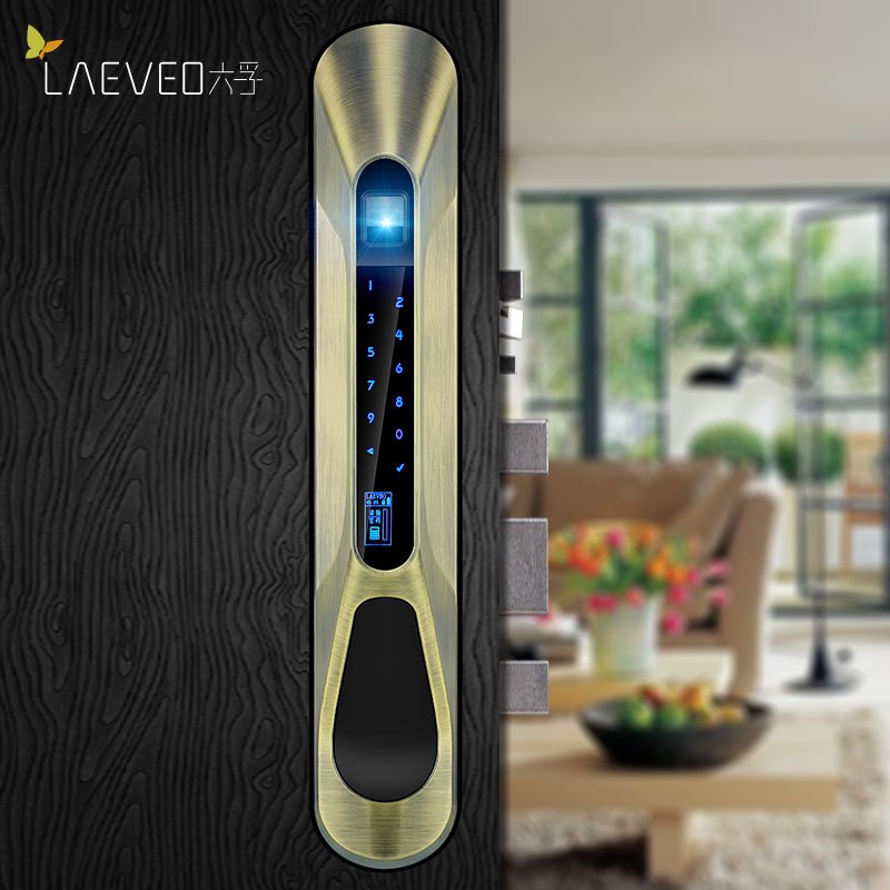 六孚LAEVEO指纹锁智能家用防盗门推拉式电子密码锁和谐号系列 青古铜