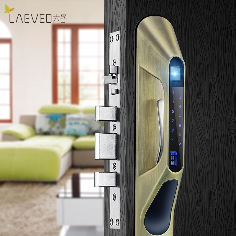 六孚LAEVEO指纹锁智能家用防盗门推拉式电子密码锁和谐号系列 青古铜