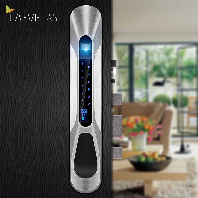 六孚LAEVEO指纹锁智能家用防盗门推拉式电子密码锁和谐号系列 钢拉丝