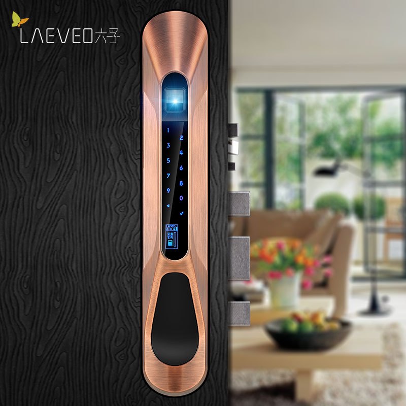 六孚LAEVEO指纹锁智能家用防盗门推拉式电子密码锁和谐号系列 红古铜
