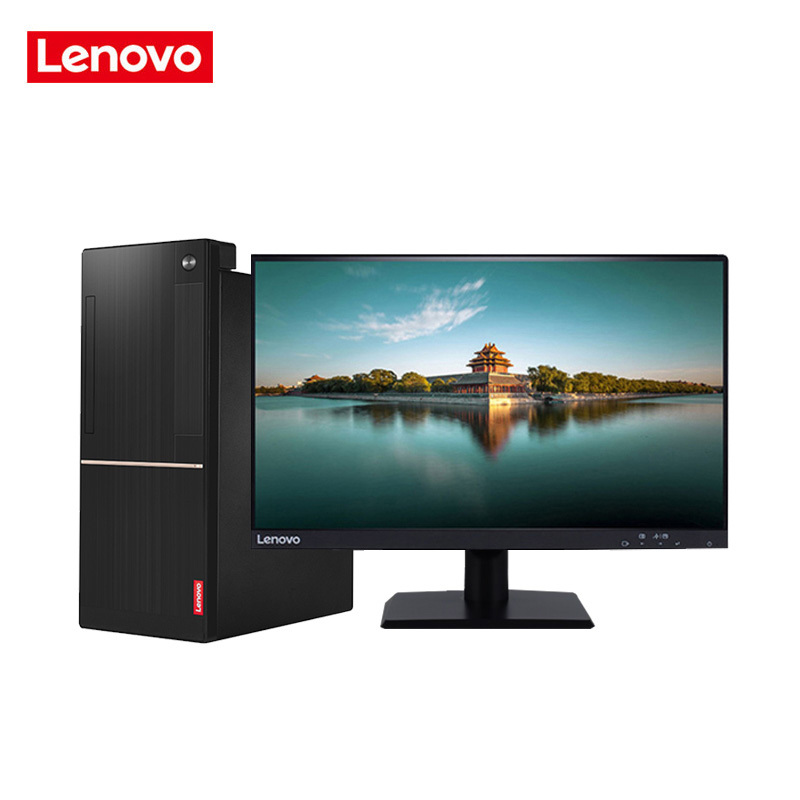 联想(Lenovo)扬天商用T4900D-00 商务办公台式电脑整机+23英寸显示器 特供机