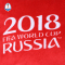 WORLD CUP 2018 45*30cm 靠枕-官方图案157