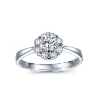 恒久之星 克拉效果 18K金钻戒钻石女款结婚戒指铂金/求婚女戒/订婚钻戒 18K金共17分(5+12)SI/FG