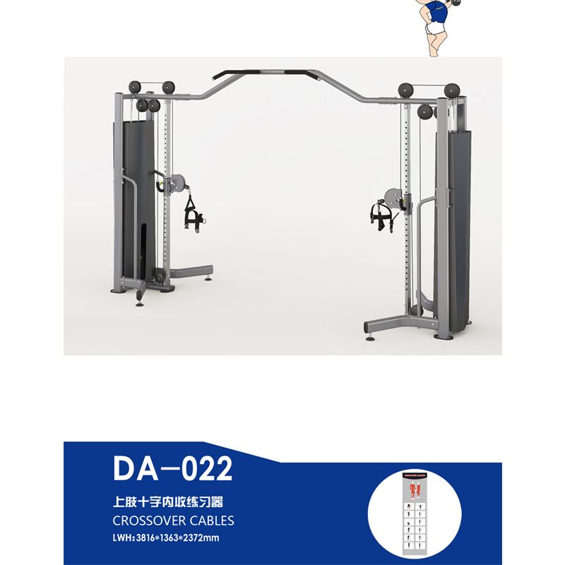 驰健 大飞鸟训练器DA-022
