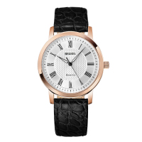 宾爵（BEGEEL）手表 简欧系列石英男士手表 蓝宝石镜面时尚简约正品石英男士手表