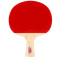 红双喜DHS乒乓球成品拍双面反胶通用横直套装2拍1球Ⅲ型一横拍一直拍娱乐型