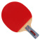 红双喜DHS乒乓球成品拍NO.1 狂飚直拍双面反胶乒拍(附拍套乒乓球)