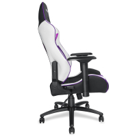 安德斯特(andaseaT)王者荣耀YTG电竞椅游戏椅电脑椅紫金王座