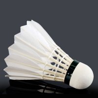 尤尼克斯YONEX 羽毛球AS-7精选鸭毛球12只装耐打比赛训练