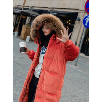 MaggieQueen棉衣实拍有货有视频金丝绒