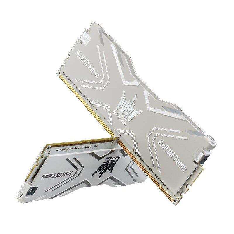 影驰(Galaxy)名人堂HOF DDR4 3000 8G*2 16G内存套条 台式机超频发光内存