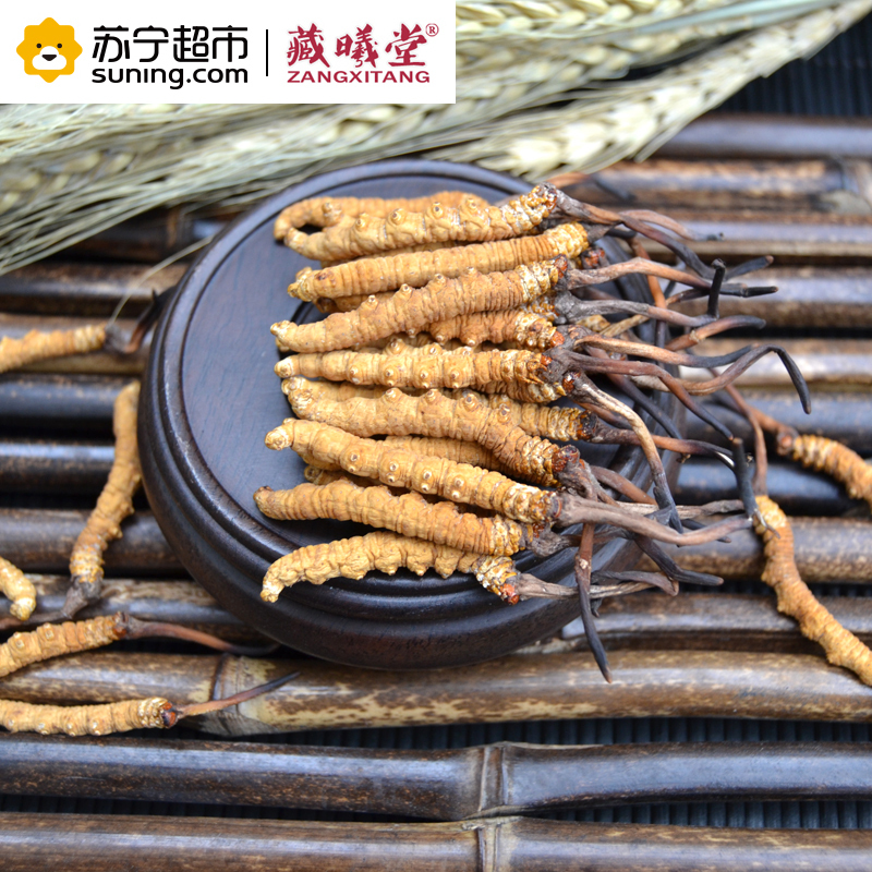 藏曦堂(ZANGXITANG) 冬虫夏草 西藏那曲虫草5根1克 高海拔虫草 冬虫夏草5根1克袋装 盒装30g
