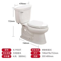 科勒KOHLER马桶 星玛龙分体五级旋风座便器 节水静音缓降坐便器K-77033T智能盖板4737套装