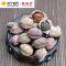 藏曦堂(ZANGXITANG)阳春砂仁 阳春砂 广东阳春砂仁 春砂仁 阳春砂仁 50克*1瓶 罐装