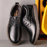 鳄鱼恤CROCODILE男士皮鞋休闲男鞋时尚婚鞋 2089