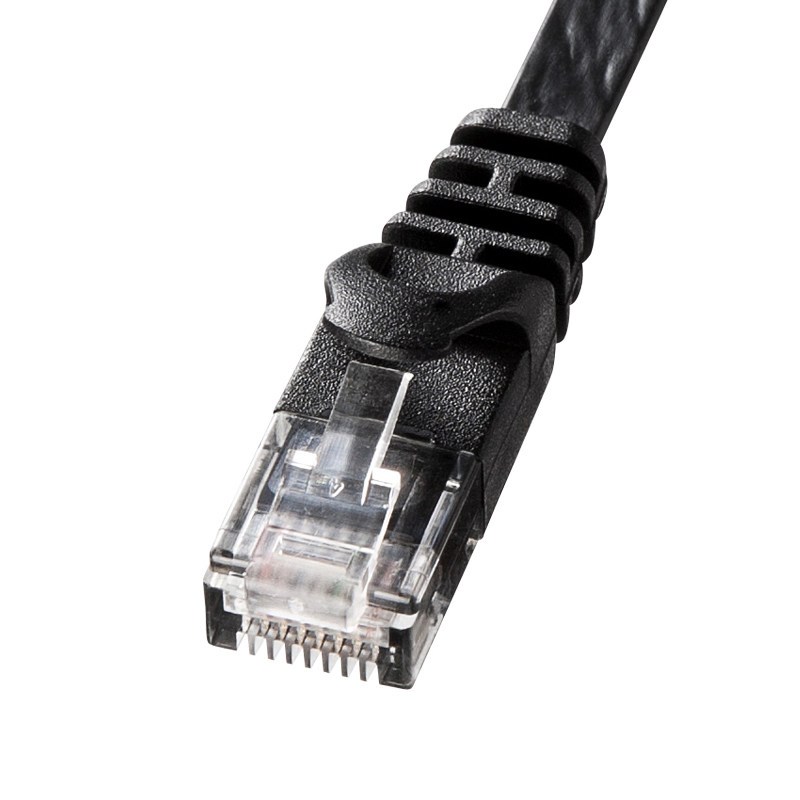 山业(SANWA SUPPLY) 黑色 CAT6/5米 网线 LA-FL6-05BK（根）